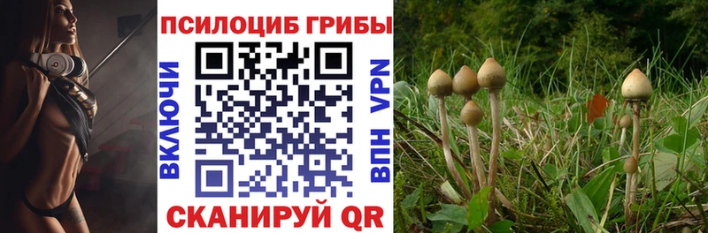 наркотики площадка телеграм Галлюциногенные грибы MAGIC MUSHROOMS Мещовск